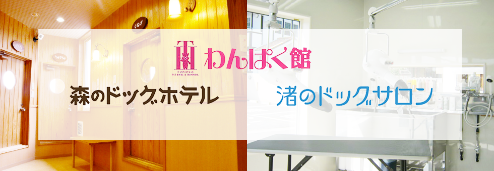 わんぱく館　森のドッグホテル　渚のドッグサロン