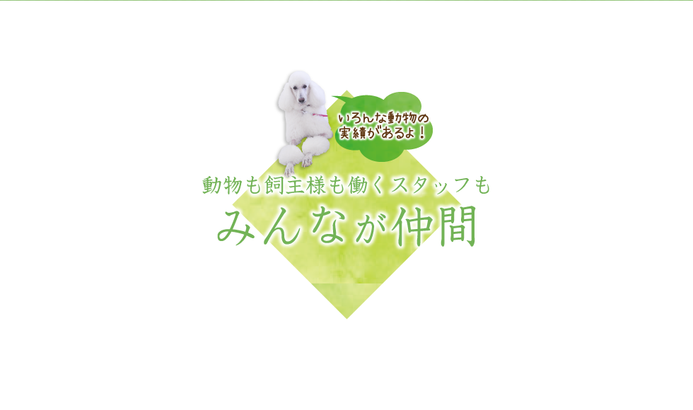 動物も飼主様も働くスタッフもみんなが仲間