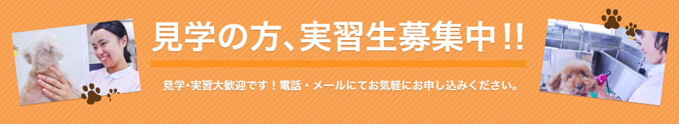 見学の方、実習生募集中！