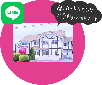 宿泊・トリミングのご予約はこちらへどうぞ