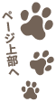 ページ上部へ